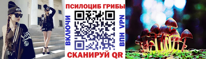 mega ТОР  Пошехонье  даркнет формула  Галлюциногенные грибы мицелий 